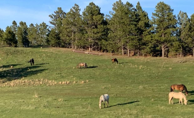 Lithium: Two Companies Stake Claims in the Black Hills. Map&nbsp;available.