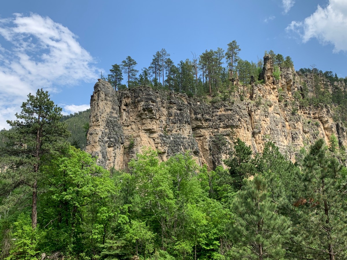 Golden Crest gold drilling project: Black Hills National Forest issued a “Response” to public&nbsp;objections