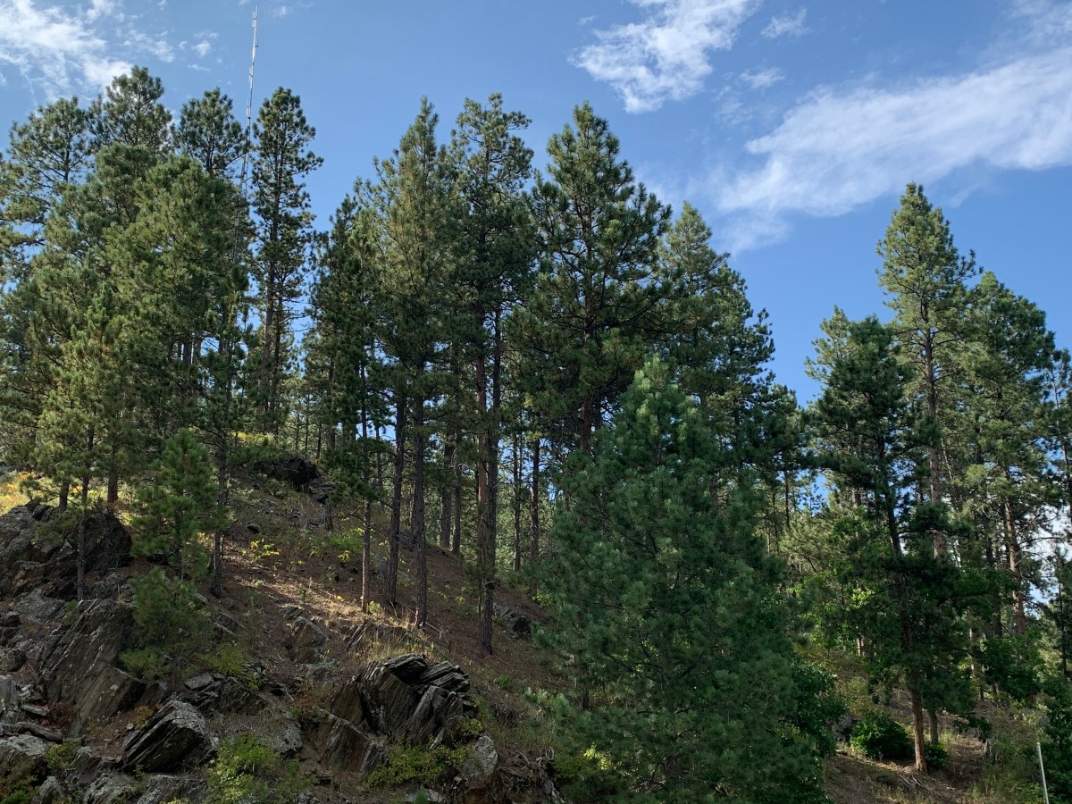 Protecting the Black Hills from Mining Summit was a Huge Success!  